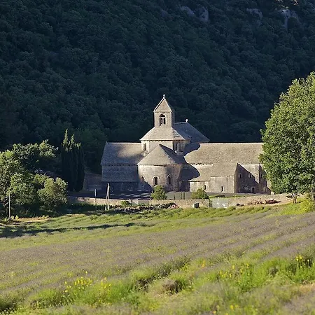 - Experience Of Provence